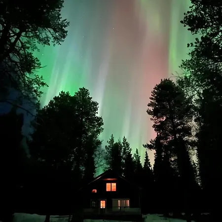 Cozy Arctic Lakeside With Private Sauna 펜션 펠로