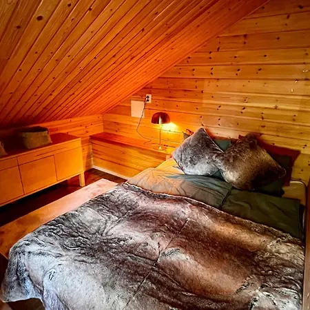 Cozy Arctic Lakeside With Private Sauna 佩洛