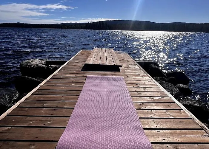 Cozy Arctic Lakeside With Private Sauna 佩洛