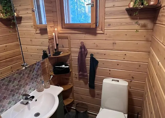 Cozy Arctic Lakeside With Private Sauna 佩洛