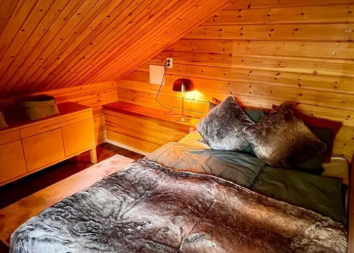 Cozy Arctic Lakeside With Private Sauna 佩洛